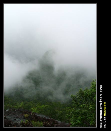 ฝนลงเม็ดใหญ่ขึ้น เบื้องหน้ากับภูเขาที่อยู่ถัดไป
ถูกบดบังด้วยสายม่ายหมอกราวกับน้ำตก
ที่ไหลลงมาจากผา