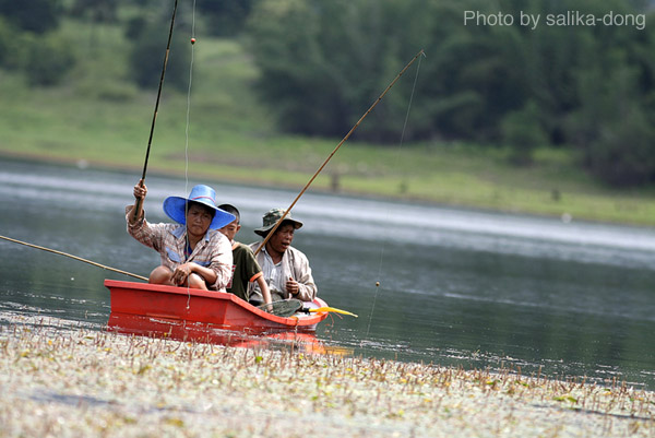 ภาพนี้ชาวบ้านพายเรือมาหาปลา อุปกรณ์ไม่สำคัญ 
ประสบการณ์ยิ่งใหญ่กว่า แต่ไม่รู้หาปลาหรือหาอย่างอื่น ใ