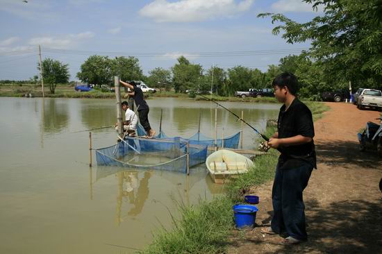 บางคน ขี้เกียจรอปลาแม่น้ำ ก้อหันมาจัดการกะปลาในบ่อซะเรยยย 