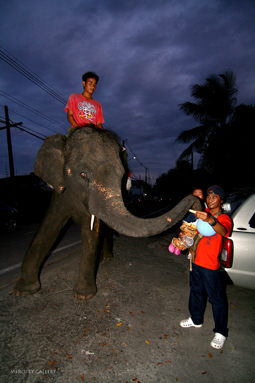 รูปสุดท้ายฝากให้น้ากั๊กเล็กครับ ฝากช่วยถ่ายรูปลูกสาวกับช้างให้ก่อนกลับบ้าน ไม่รู้ลูกสาวเลิกร้องให้หร