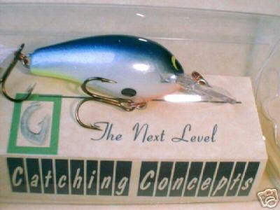 Rapala Custom paint :cool: