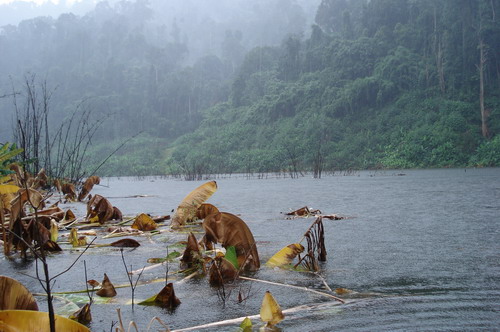 ฝนตกแล้ว  แย่แล้วซิเสื้อกันฝนเอามาตัวเดียว     :sad: :sad:

น้าวัฒน์ : น้าหนึ่งทำงัยดี

น้าหนึ่ง