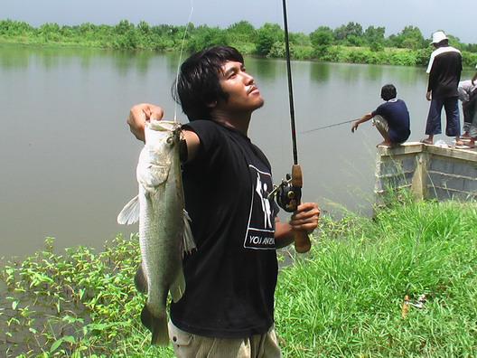 



 [url='http://www.siamfishing.com/board/view.php?tid=32458&begin=0']http://www.siamfishing.c