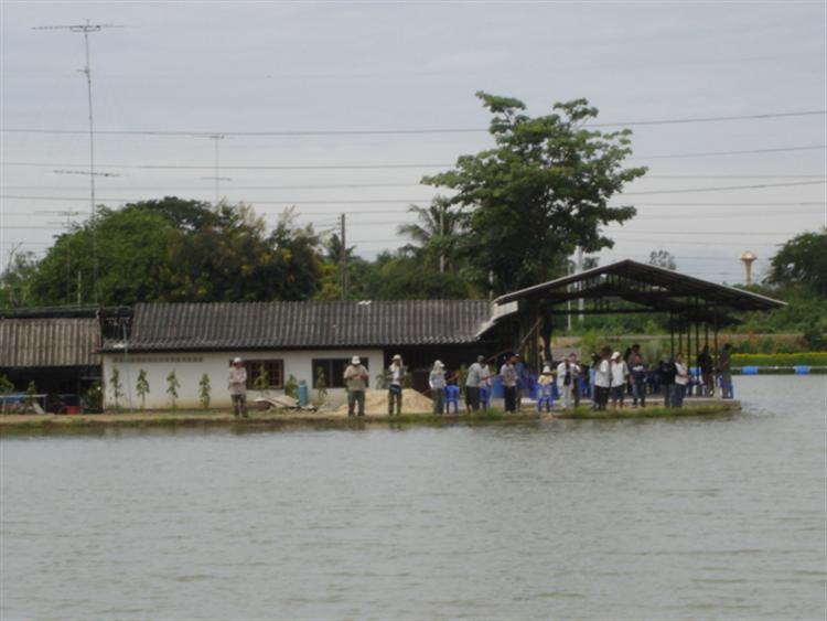 บรรยากาศ สบายๆ พื้นที่กว้างขวางจริงๆ... :cheer:
  ( รูปเก่านะครับ ปัจจุบัน อาจจะเปลี่ยนไปบ้างนะครับ