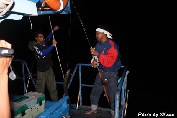 ท้ายเรือก็ส่งเสียง
น้านิด..น้าอ๊อดถือดีๆสิครับน้า เอาไปให้ห่างพี่เป้าป๋มหน่อย
น้าอ๊อด...โทษห่างไปน