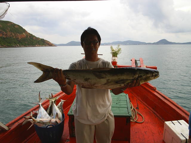 ปลาช่อนตัวนี้  จะถูกนำไปเป็นอาหารที่งานมิตติ้ง  ของสมาชิก SFC  ของชลบุรี  ณ  บ่อศรีราชาฟิชชิ่งปาร์ค 