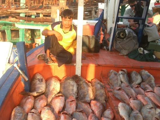 สุดยอดอยู่แล้ว ไต๋เตี้ย

 [url='http://www.siamfishing.com/board/view.php?tid=10892']http://www.si