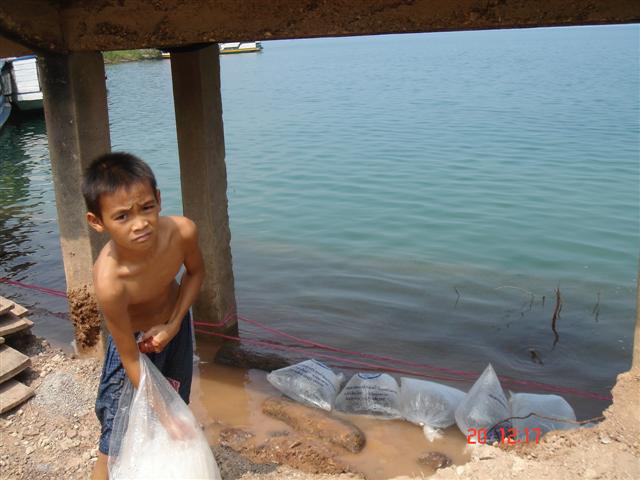 เด็กคนนี้เก็บถุงใส่ปลาที่ปล่อยแล้วไปทำอะไรไม่รู้ แต่ดีมากๆ