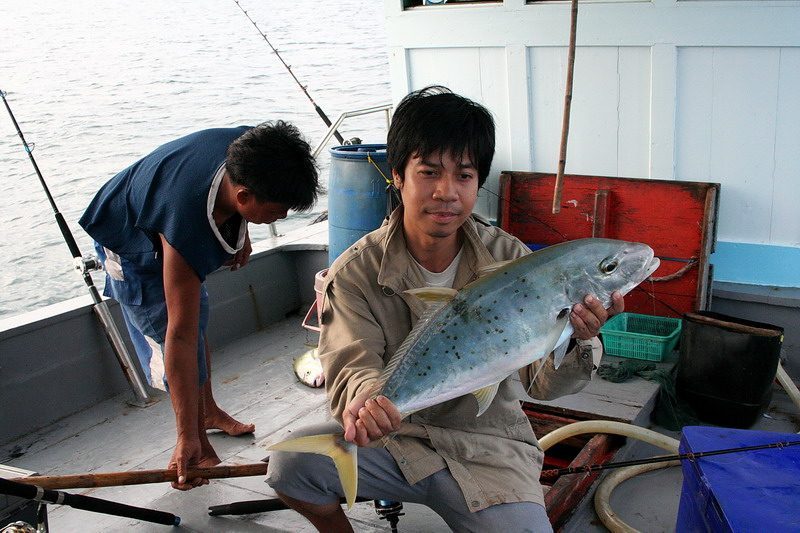  แต่เกินความคาดหมายของผมหมายนี้ปลาสาระพัดยี่ห้อ สายเล็กๆ ตะกั่วเม็ดเท่าปลายนิ้วก้อย น้ำตื้นๆ ตีเบ็ดอ