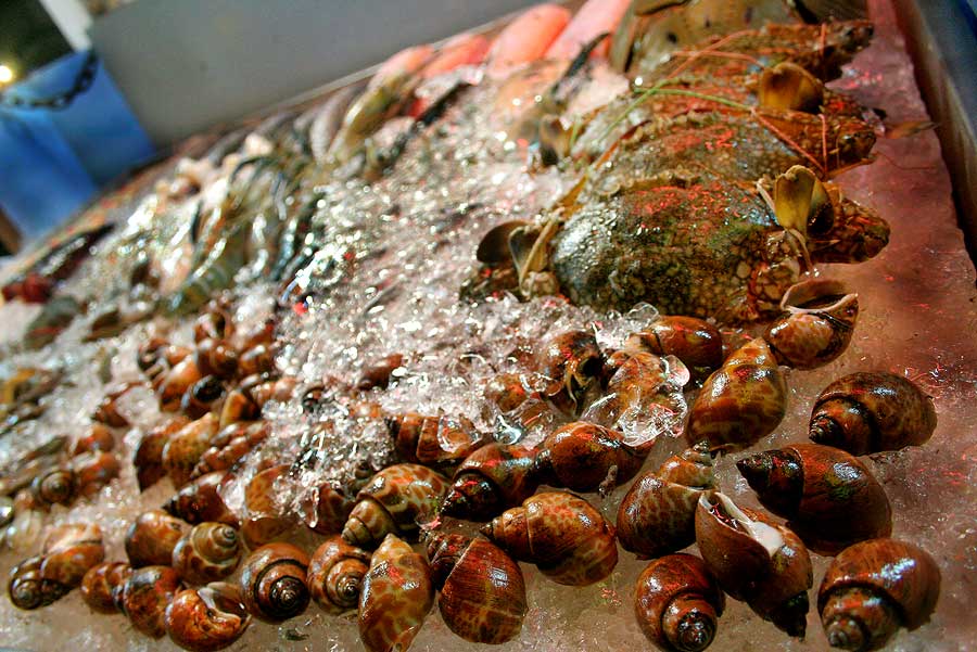 นอกจากนี้ ทางร้านยังมีอาหารทะเล

ไว้คอยต้อนรับนักชิม ............ อีกด้วยครับ

หอยแครง  หอยหวาน 