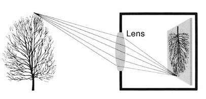  [b]1.2 แสง เลนส์ และการกำหนดภาพ   [/b]
หลักการพื้นฐานที่กล้องให้แสงวิ่งผ่านรูเล็กๆ เพื่อก่อให้เกิด