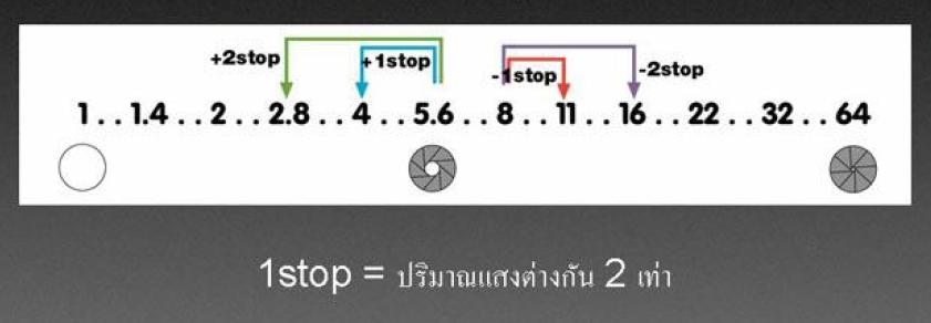  [q]ขนาดช่องรับแสง[/q]

เลนส์ของกล้องดิจิตอลจะมีม่านช่องรับแสง เป็นใบโลหะลักษณะเป็นกลีบเรียงตัวซ้อ