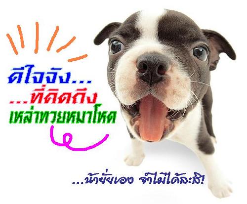 ... :kiss: :kiss: :kiss:...
...ยินดีที่เข้ามาเยี่ยมกร