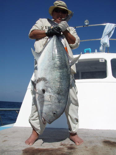 แนะนำอีกหนึ่งท่าน  Tomus กะ GT ไซด์ 30 kg

เป็นปลาที่ใหญ่ที่สุดของ Tomus เท่าที่ตกปลามาทั้งชีวิตเล