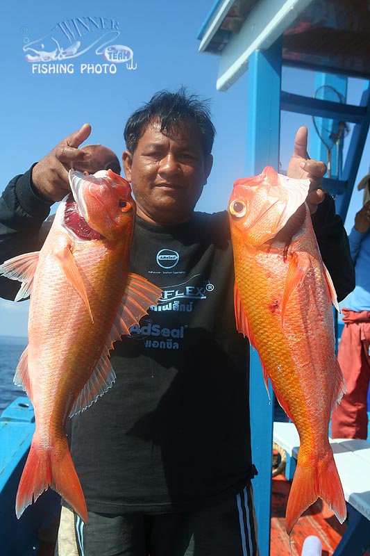 ไต๋ลือ บอกว่าไม่ต้องไปถึงพม่าก็มีปลาสีทองให้ตก :grin:
