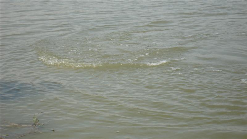 ดูจาก วงน้ำ...ปลาหย่ายนี้หว่า (ได้ยินน้าตุ้มคำรามในลำคอ) :laughing: :laughing:
                เด่ว
