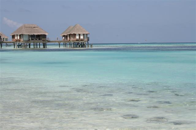 ทุกท่านที่สนใจจะไปเที่ยวมัลดีฟ....เข้าไปดูได้ที่ www.maldivespackage.com ได้เลยครับ....สามารถเลือกโร