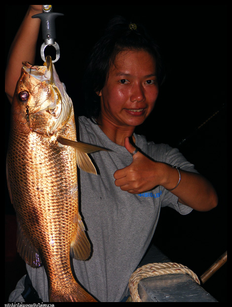 ส่วนม๋วยดำก็มีมาอวดเหมือนกันนะ คิคิ
ตัวนี้ไซส์ใหญ่กว่าเดิม ได้ทีเห่าเสียงดังทับถมนังบวมซะ :laughing