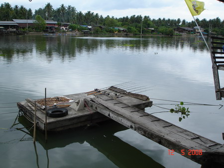 ธรรมชาติยังคงสภาพสวนผลไม้  น้ำใสจืดสนิท