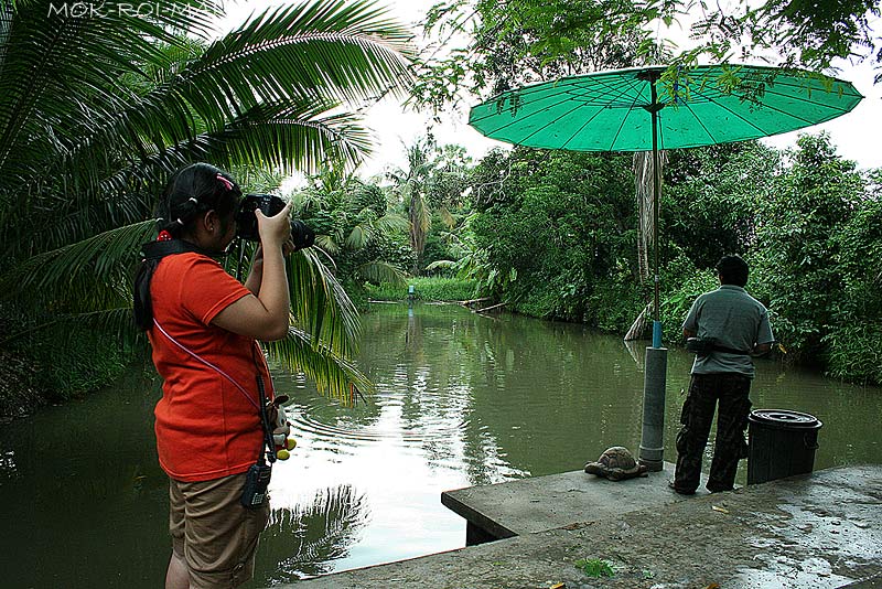 ส่วนน้องหมิวก็เริ่มงานการบ้านทันที....เมื่อเห็นแบบให้ถ่าย....