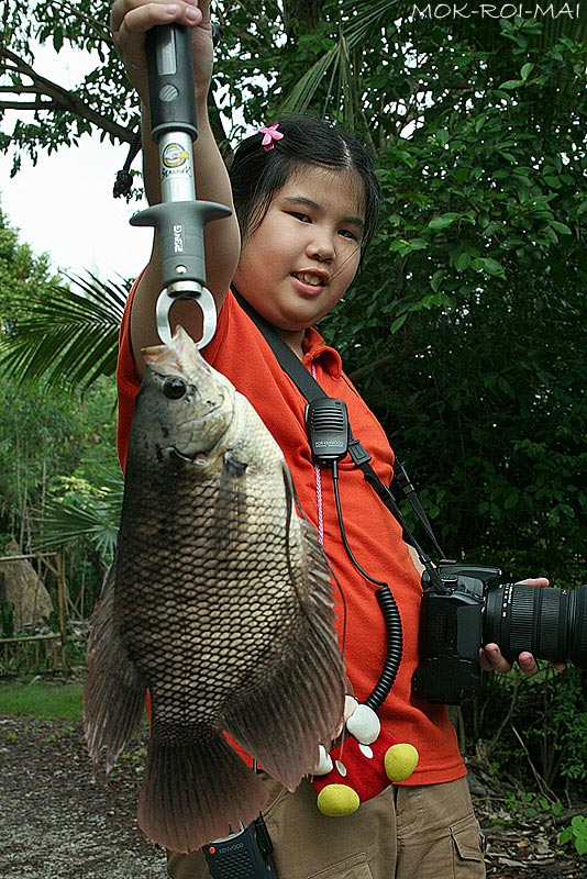 แถมรูปน้องมิวในมุมมองแปลกตา.....ดูเป็นมือเก่าเลยครับมุมนี้
ขอขอบคุณ พี่เล็กที่พาไปร่วมกิจกรรมมันส์แ