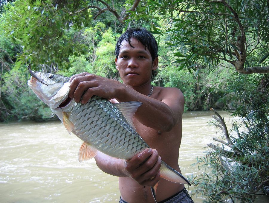 บางตัวก็ต้องใช้บริการเจ้าบีลงไปเช