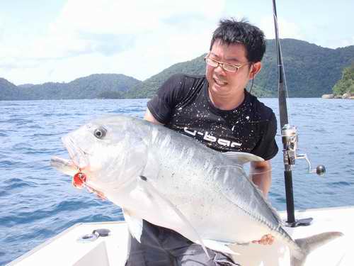 พี่โตมร ตีเหยื่อป๊อบด้านหัวเรือ  ปลาชาร์จแรงมาก พี่โทเร่งเรือให้ออกน้ำลึก พี่โตมรตั้งคันสู้  แรงดีคั