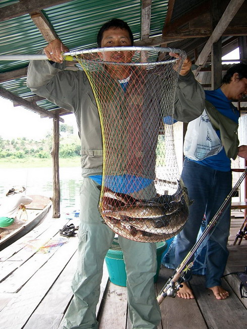 พี่ปลาหมอไท กับผลงาน 