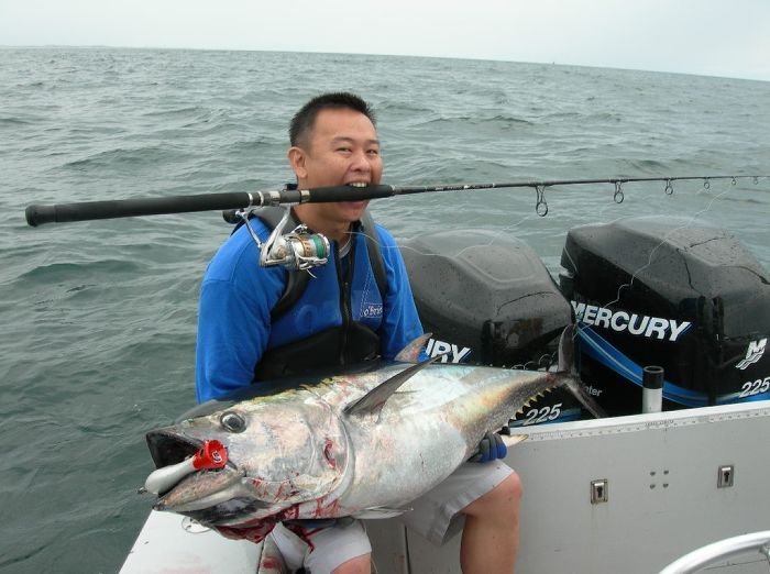 ล้างเอาเลือดออกเเล้วก็เอามาถ่ายรูป..ท่ามาตรฐาน :laughing:ความสำเร็จของผู้ชนะ
Bluefin Tuna ตัวนี้หนั