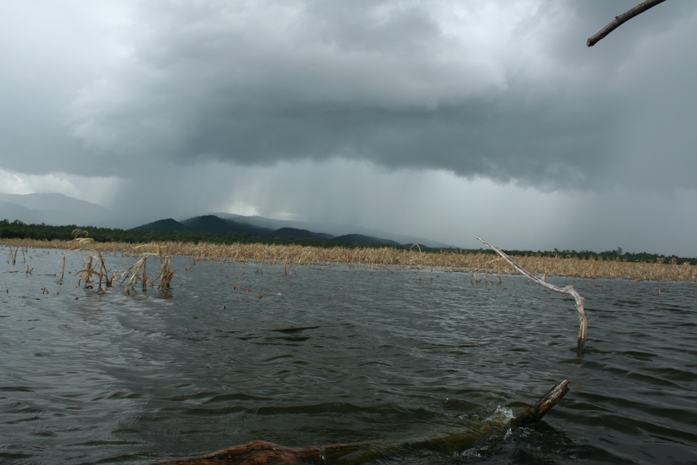 ช่วงบ่ายฝนตกครับ เอาภาพมาฝากครับ :tongue: :tongue: