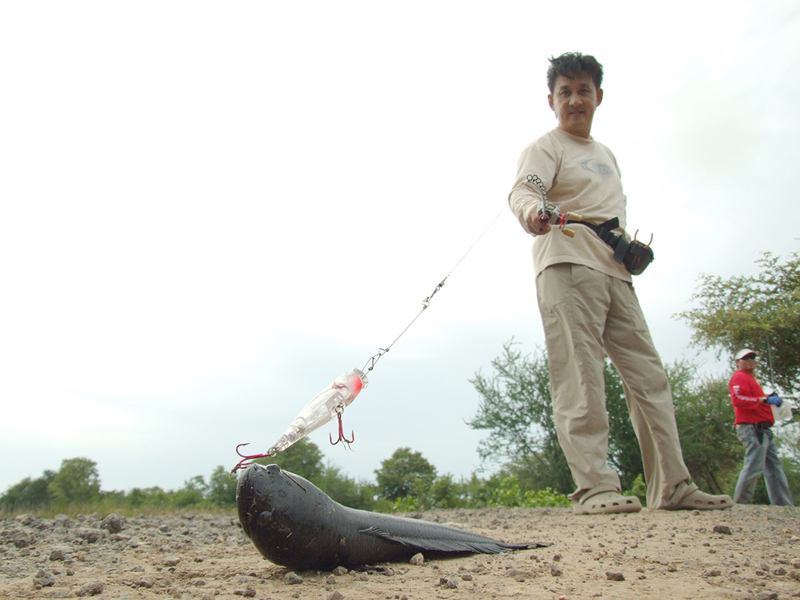 เส้นนำสายตา...ให้ปลาลง จุดตัดที่สาม
 แต่ช่องว่างด้านล่างน้อยไป ครับ