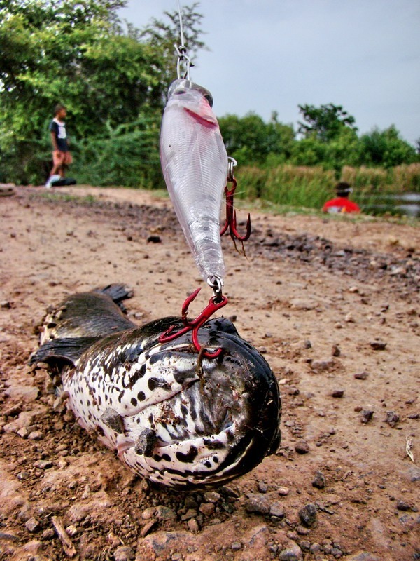 ถ่ายจากกล้องธรรมดาที่เรามีอยู่นั่นเองครับ
  :love: :love: