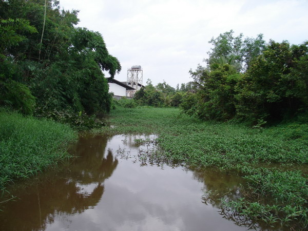 

.......... :smile:.สภาพน้ำด้านบนแดงเหมือนกันหมดครับ.....ฝนพึ่งหยุดตกไปไม่นานเองครับ....... :chee