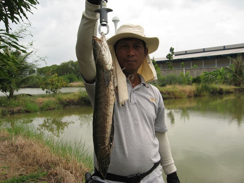 ขอหล่อบ้างน๊ะ ( รายงานอากาศฝนตกพรำๆทั้งวันแต่ปลาก็กินดี )