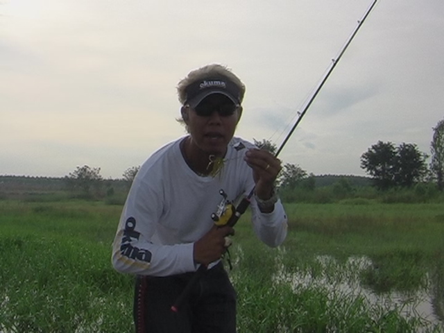 OKUMA BUZZBAIT :love: :love: :love:

ยังไงพรุ่งนี้มาต่อคร