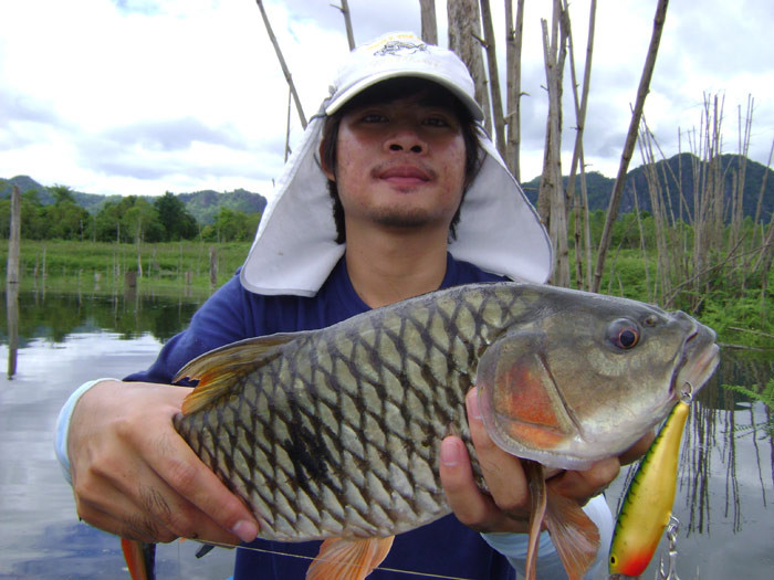 ขอขอบคุณน้าทุกๆท่านครับผมตั้งจะตอบหมดแต่คงเหนื่อยครับขอต่อให้จบเลยละกันครับ

 :cheer: :cheer: :che