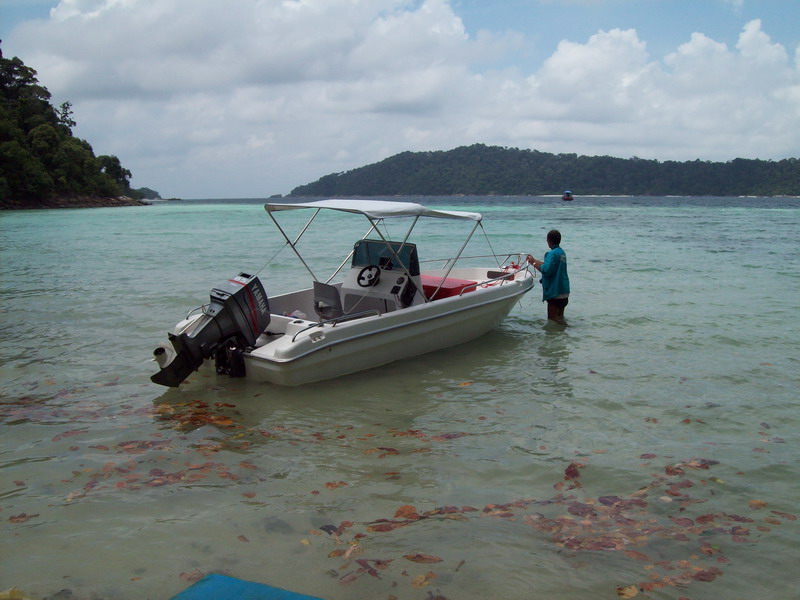   บริเวณหาดลิงน้ำตื้นมากใช้วิธีดับเครื่องแล้วรอคลื่นซัดเข้าหาฝั่งไม่กล้าลงจากเรือหอยเม่นทั้งหาดโดนเข