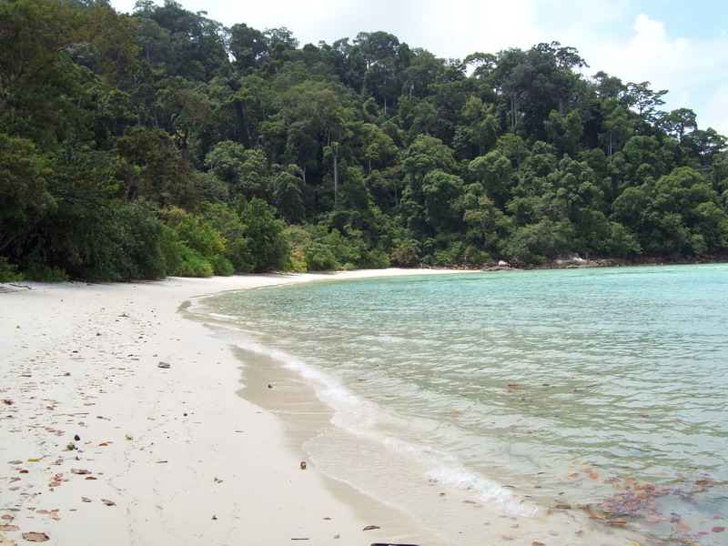          หาดลิงครับไม่มีนักท่องเที่ยวมาเลยครับฤดูท่องเที่ยวก็ไม่มีเพราะเป็นหาดธรรมดาตื้นอีกต่างหากขน