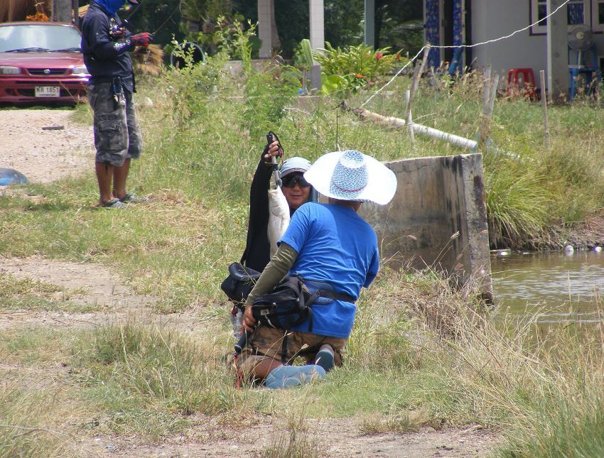  นํ้าพึ่งเรือเสือพึ่งปลา เอะๆๆทั้งสองคนเริ่มคุยกันแล้วครับโดยใช้กล้องเป็นสื่อกลางแห่งสายสัมพันธ  :la