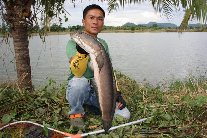 ตัวนี้ 2 กิโล โดยประมาณ ผมขออนุญาติปล่อยน่ะครับ  :cheer: