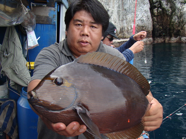 โกไก่โชว์เจ้าสติดหินให้ดูครับขนาดซัก 1 กก.