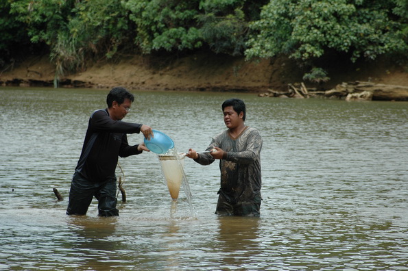 ข้าพเจ้าเองครับ คนถือ Plankton net
ส่วนคนตัก คือ ดร.เจน พ่อน้องหลิว :laughing: