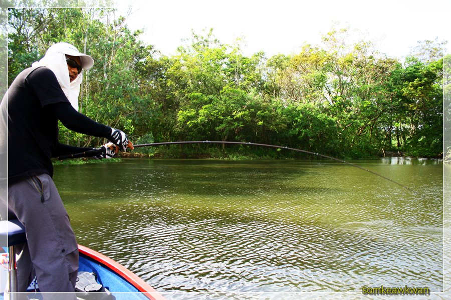 มาดูปลาพี่บอยมั่งดีกว่า
----------------------------

 [q]ภาพสวย-เพลงเพราะ (เรืองามมากครับ)++++ [