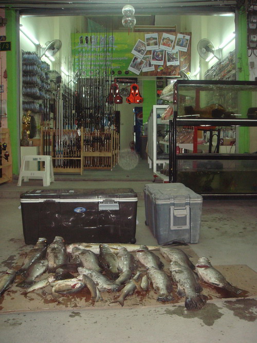          หลังจากแบ่งปลาให้กับเฮียโบ้กับน้าวัฒน์ก็เดินทางกลับมาถ่ายภาพกันต่อที่ร้านน้าตู้คับ คนมามุงด
