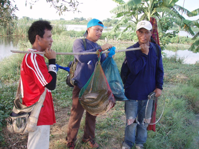 ออกจากป่ามาแล้วครับ หามกันมาเลย ทีมเดียวเกือบ 30 kg 