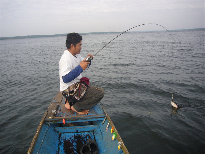 ตัวนี้แรงดีมุดหญ้าอย่างเดียว ลุงดีต้องใช้วิธีเดิมพาเรือออกไปน้ำนอก..ยึดกันไปสู้กันมาในที่สุดก็ได้เห็