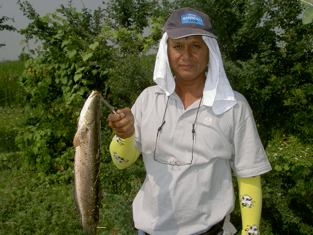 


พี่ชาญ  ช่วงเช้าทำปลาหลุดไปหลายตัว คนอื่นอัดปลากันเป็นแถว  เพิ่งมาได้ตอนบ่าย  6 ตัว  หายตาแดงแ