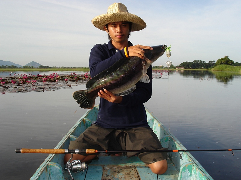 (ขออีกภาพค๊าบบบบบบ)สำหรับเบอร์โทรไต๋เรือรอก่อน  ใจเย็นๆนะคับ  ไว้ท้ายกระทู้ ครับ