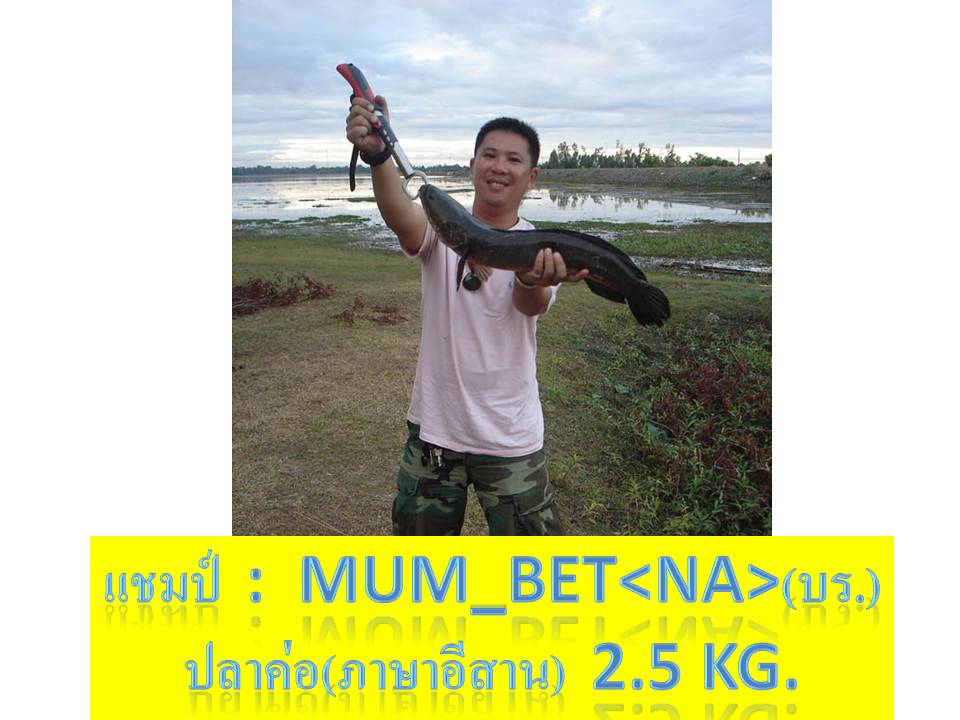 แชมป์ที่รอคอย  อยู่นี่
เฮีย  na  mum_bet  (บุรีรัมย์)