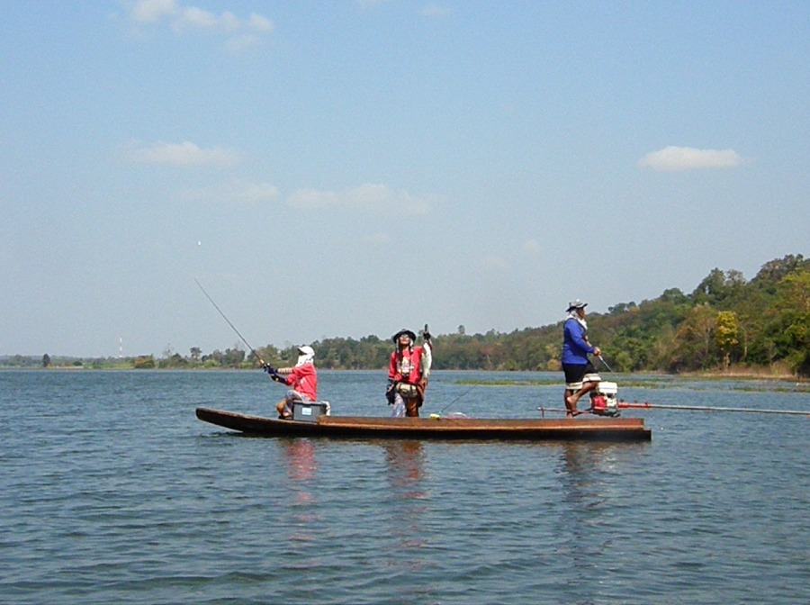 คนกลางเรือ  "มาดูกันเร้วน้า  กัดแมวเซาดังตูมเลย"
คนหัวเรือ      "ไม่สนคนเบอร์ห้า(บ้า.........)  